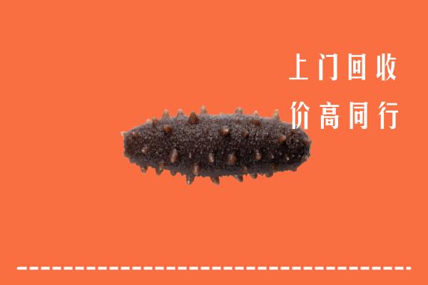 漳州市回收海参