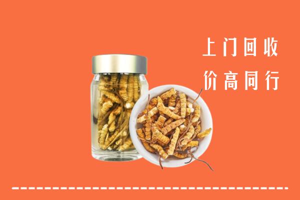 漳州市回收冬虫夏草